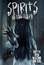 Spirits in the Dark (2020) afişi Spirits in the Dark (2020) afişi