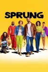 Sprung (2022) afişi