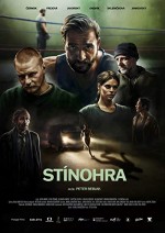Stínohra (2022) afişi