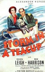 Storm In A Teacup (1937) afişi