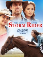 Storm Rider (2013) afişi