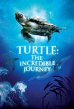 Turtle: The ıncredible Journey (2009) afişi