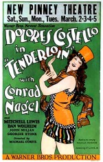 Tenderloin (1928) afişi