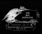 The Boy Detective, Or The Abductors Foiled (1908) afişi