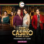 The Casino (2020) afişi