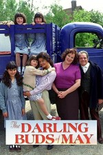 The Darling Buds Of May (1991) afişi