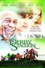 The Derby Stallion (2005) afişi