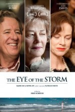 The Eye Of The Storm (2011) afişi