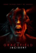 The Gracefield Incident (2017) afişi