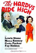 The Hardys Ride High (1939) afişi