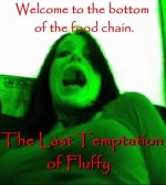 The Last Temptation Of Fluffy (2010) afişi