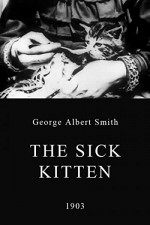 The Little Doctor And The Sick Kitten (1903) afişi