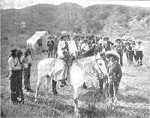 The Mexican Joan Of Arc (1911) afişi