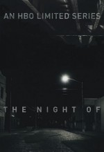 The Night Of (2016) afişi The Night Of (2016) afişi