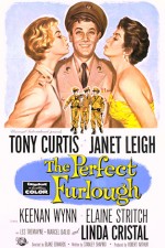 The Perfect Furlough (1958) afişi