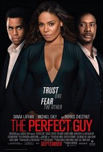 The Perfect Guy (2015) afişi