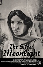 The Silver Moonlight (2015) afişi