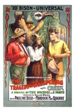 The Tragedy Of Whispering Creek (1914) afişi