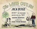 The White Outlaw (1925) afişi