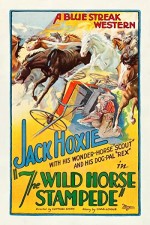 The Wild Horse Stampede (1926) afişi