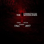 The Woodlands (2017) afişi