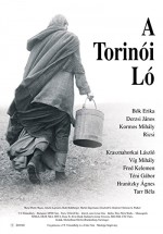 Torino Atı (2011) afişi