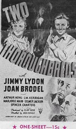 Two Thoroughbreds (1939) afişi