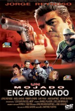 Un Mojado Encabronado (2005) afişi