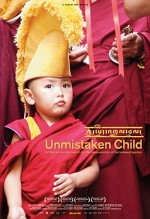 Unmistaken Child (2008) afişi