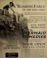 Wide Open (1924) afişi