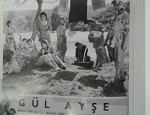 Yayla Güzeli Gül Ayşe (1956) afişi