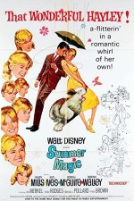 Yaz Büyüsü (1963) afişi