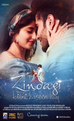 Zindagi Kitni Haseen Hay (2016) afişi Zindagi Kitni Haseen Hay (2016) afişi