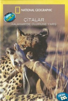 Çitalar: Kalahari'de Ölümüne Yarış (2011) afişi