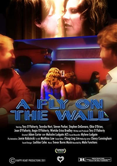 A Fly on the Wall (2011) afişi A Fly on the Wall (2011) afişi