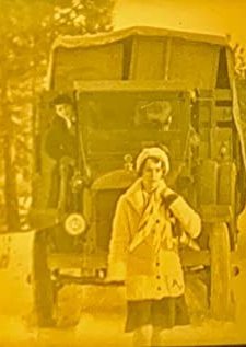 A Lady Lion (1928) afişi