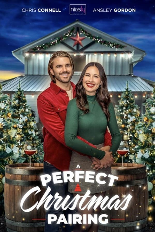 A Perfect Christmas Pairing (2023) afişi A Perfect Christmas Pairing (2023) afişi