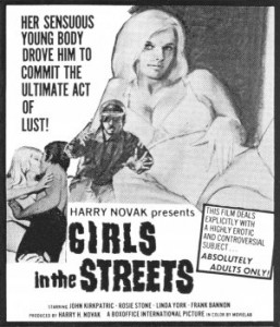 A Scream in the Streets (1973) afişi A Scream in the Streets (1973) afişi