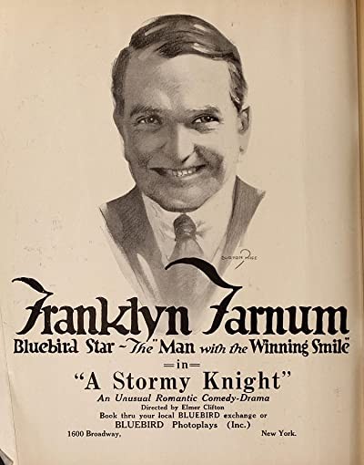 A Stormy Knight (1917) afişi A Stormy Knight (1917) afişi