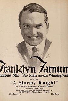 A Stormy Knight (1917) afişi
