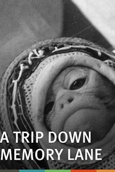 A Trip Down Memory Lane