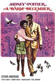 A Warm December (1973) afişi
