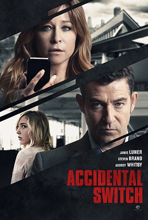 Accidental Switch (2016) afişi Accidental Switch (2016) afişi
