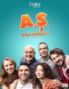Aile Şirketi