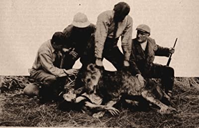 Alone In The Jungle (1913) afişi Alone In The Jungle (1913) afişi