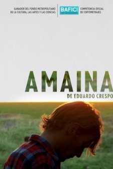 Amaina (2010) afişi