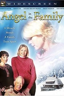 Angel in The Family (2004) afişi