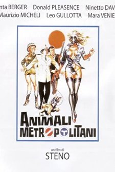Animali Metropolitani