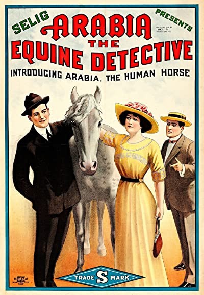 Arabia: The Equine Detective (1913) afişi