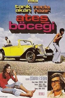 Ateş Böceği